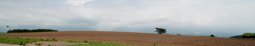 �ӂ������l�Q