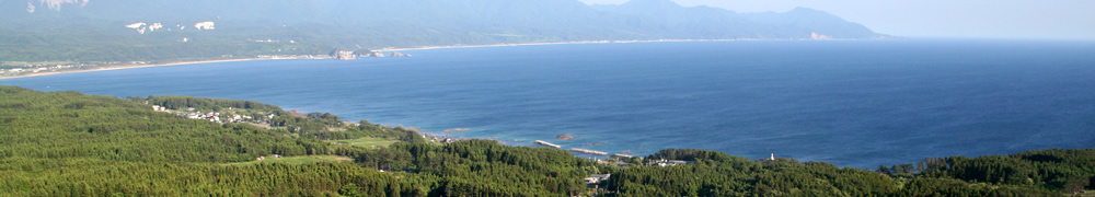 �_�ꂩ�猩����{�C